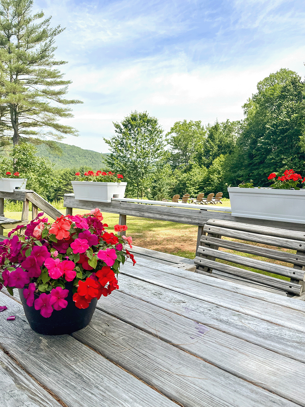 Outdoors flowers