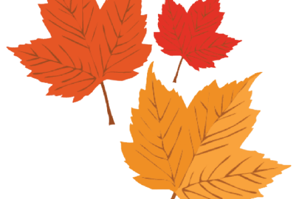 autumn-leaves-svg-scrapbook-cut-file-cute-clipart-files-maple-leaf-11563171856bxw3hfq0ja-removebg-preview