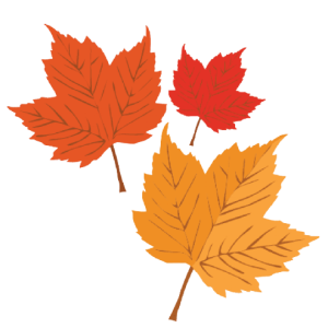 Autumn leaves About Home on the Connecticut Lyme NH